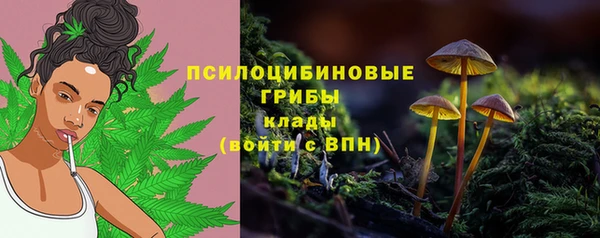 мет Заволжск