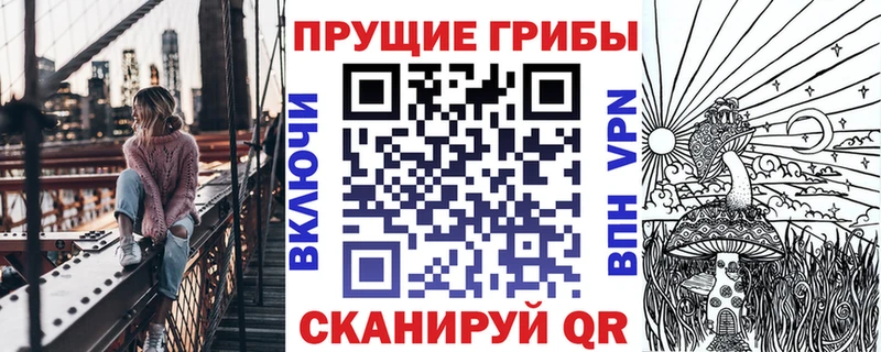 закладка Энгельс Псилоцибиновые грибы прущие грибы