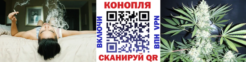 Каннабис план Энгельс
